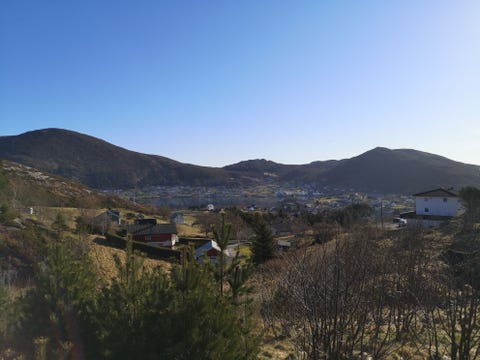 Bilde 2 av annonsen