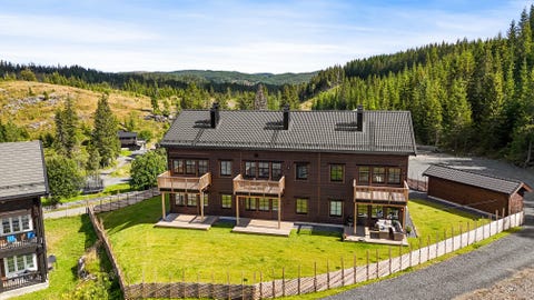 Bilde 1 av annonsen