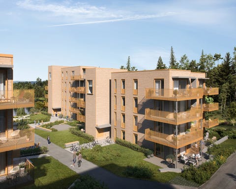 Bilde 1 av annonsen