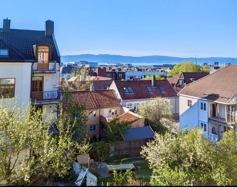 Bilde 1 av annonsen