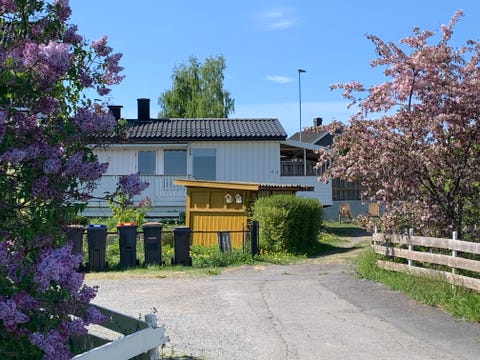 Bilde 1 av annonsen
