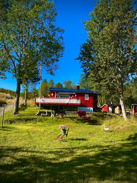 Bilde 1 av annonsen