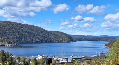Bilde 1 av annonsen