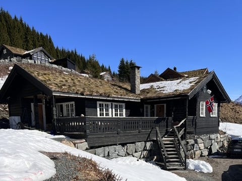 Bilde 1 av annonsen