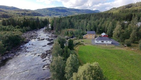 Bilde 1 av annonsen