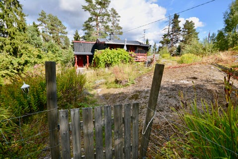 Bilde 1 av annonsen