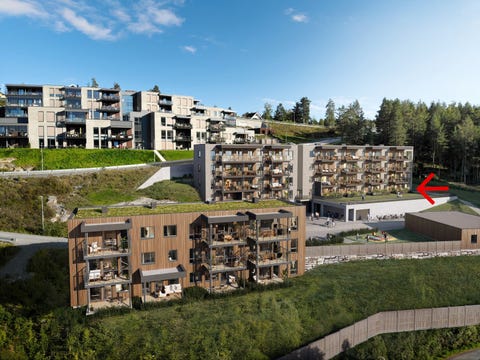 Bilde 1 av annonsen