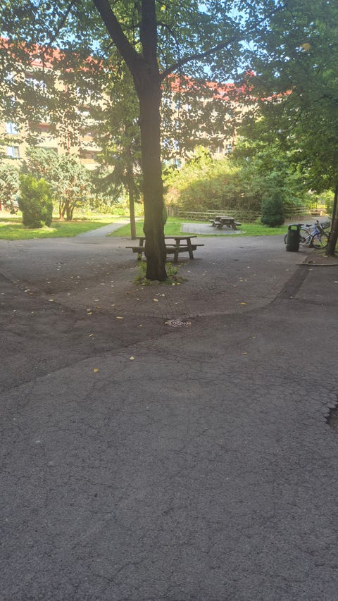 Bilde 2 av annonsen