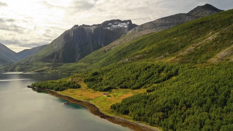 Bilde 1 av annonsen