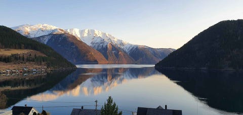Bilde 1 av annonsen