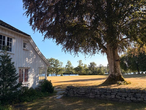 Bilde 2 av annonsen
