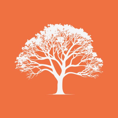 Talent sourcing AS logo