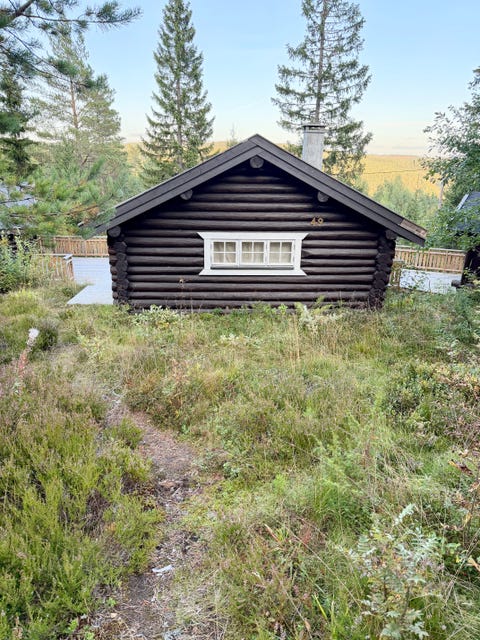 Bilde 1 av annonsen