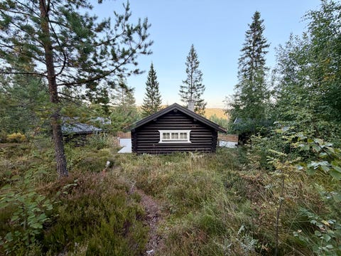 Bilde 2 av annonsen
