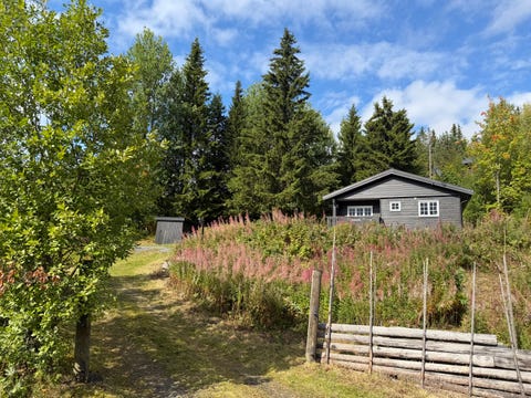 Bilde 1 av annonsen
