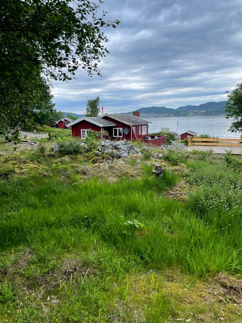 Bilde 1 av annonsen