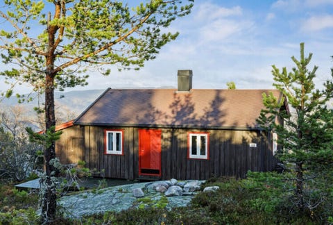 Bilde 1 av annonsen