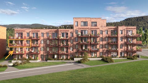 Bilde 1 av annonsen