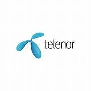 Telenorbutikken City Nord logo