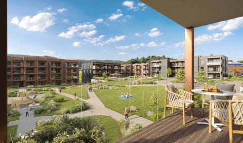 Bilde 1 av annonsen