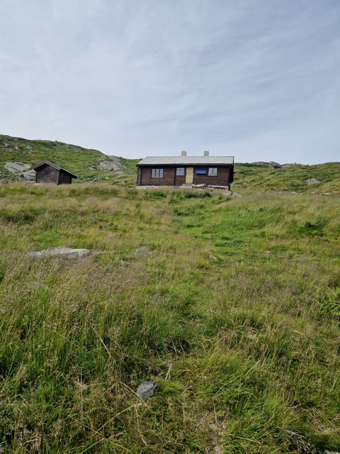 Bilde 2 av annonsen