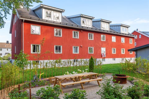 Bilde 1 av annonsen