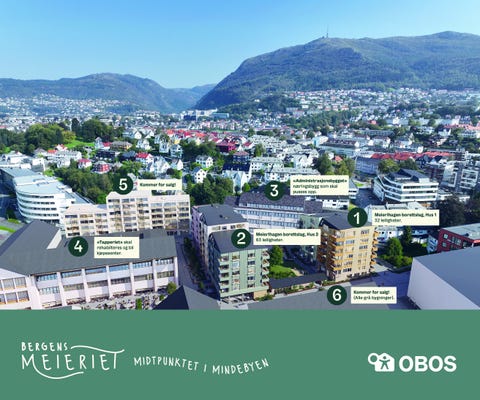 Bilde 2 av annonsen