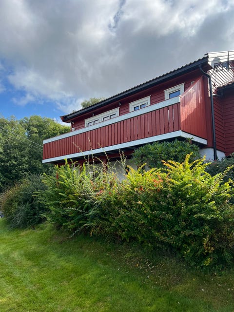 Bilde 1 av annonsen