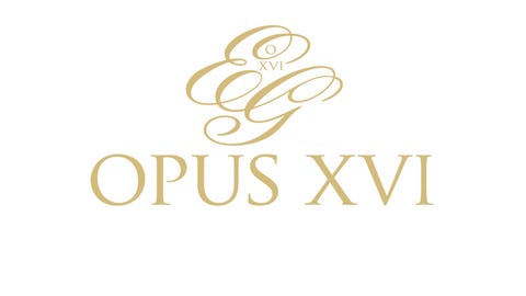 Hotel Opus XVI logo
