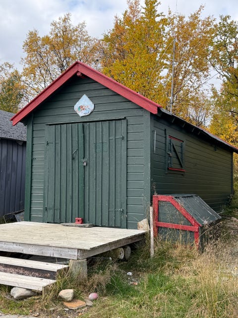 Bilde 1 av annonsen
