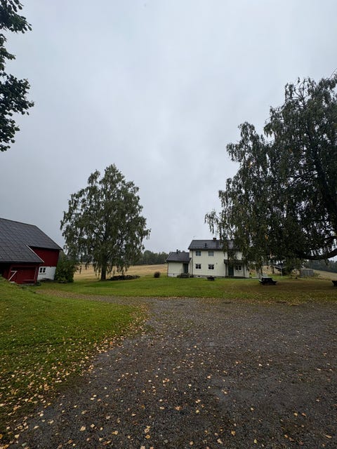 Bilde 1 av annonsen