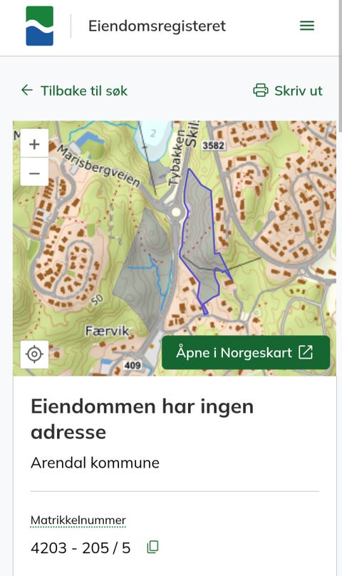 Bilde 1 av annonsen