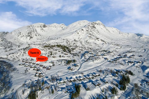 Bilde 2 av annonsen