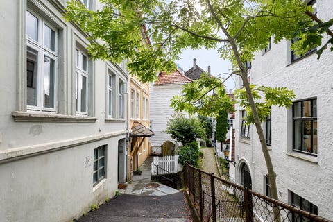 Bilde 2 av annonsen