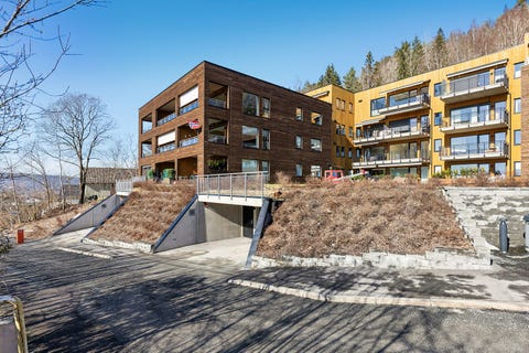 Bilde 1 av annonsen