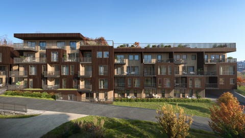 Bilde 1 av annonsen