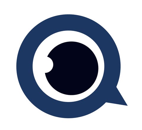 Birdsview logo