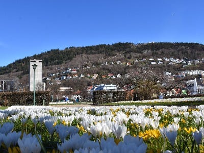 Bergen kommune logo