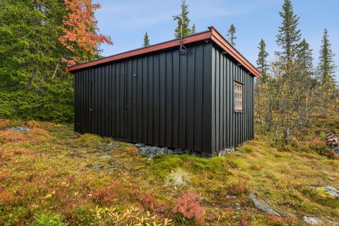 Bilde 2 av annonsen