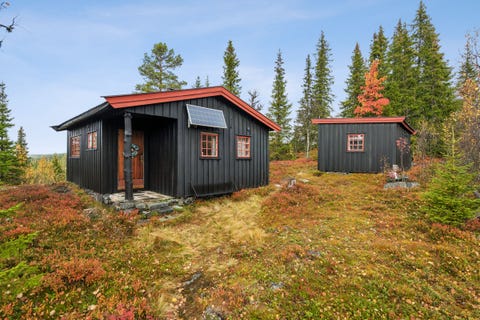 Bilde 1 av annonsen