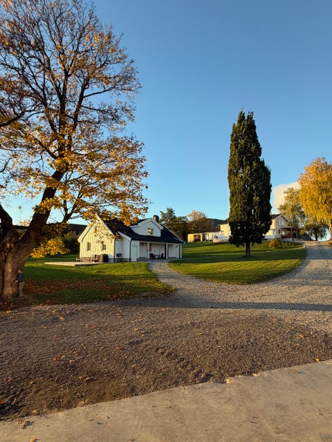 Bilde 2 av annonsen