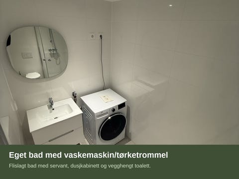 Bilde 2 av annonsen