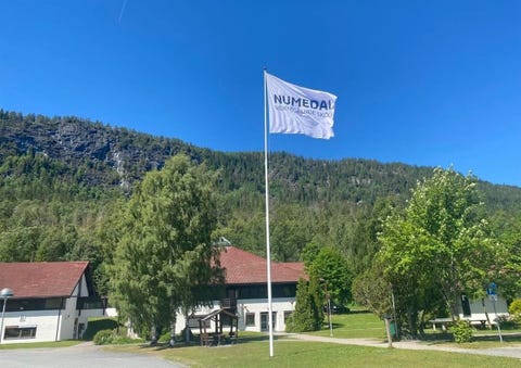 Buskerud fylkeskommune, Numedal videregående skole logo