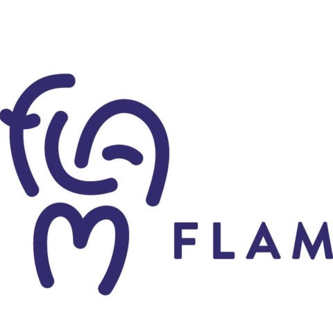 Flam Norge logo