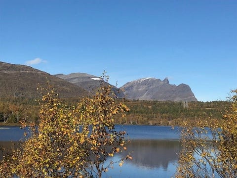 Bilde 1 av annonsen