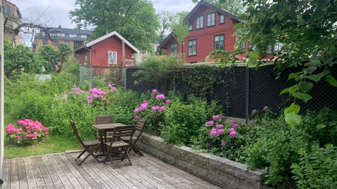Bilde 1 av annonsen
