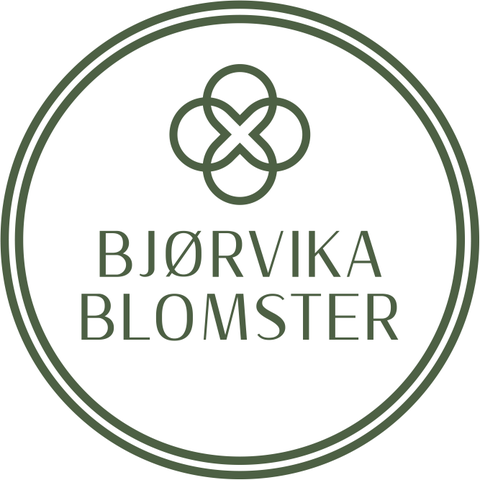 Bjørvika Blomster AS logo