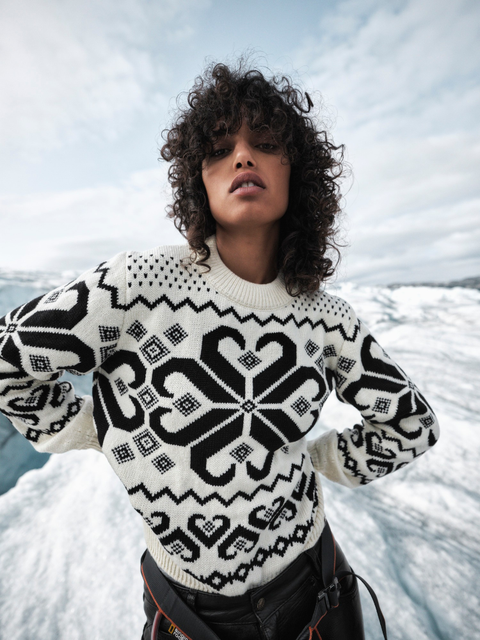 Dale of Norway AS logo