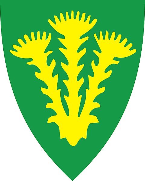 Nannestad kommune Hjemmetjenester logo