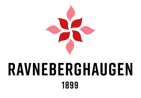 Stiftinga Ravneberghaugen logo